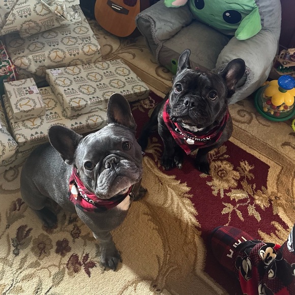 2frenchiemama